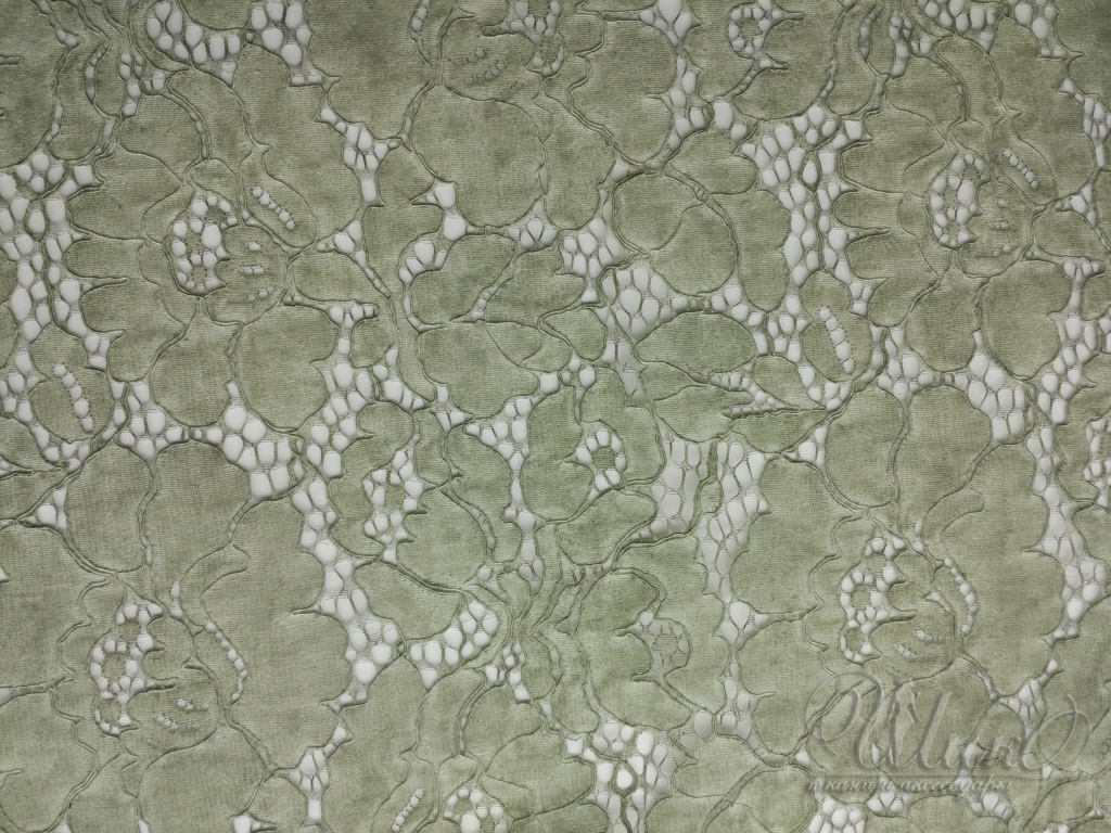 Ткань Кружево  01668 2