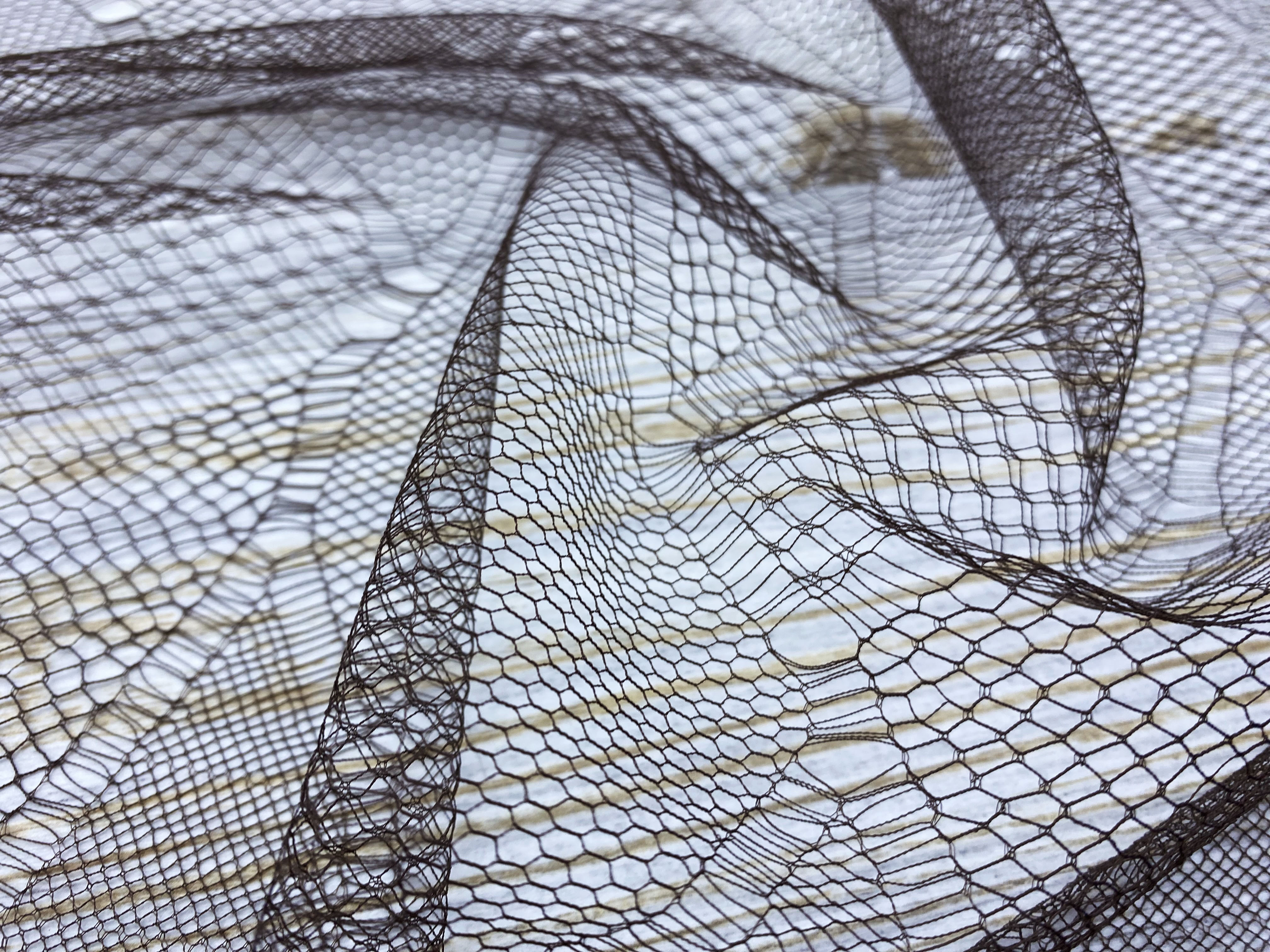 Ткань Кружево Solstiss 45215 2