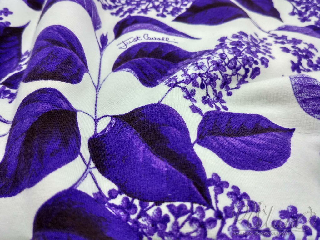 Ткань Трикотаж  Cavalli 04497 1