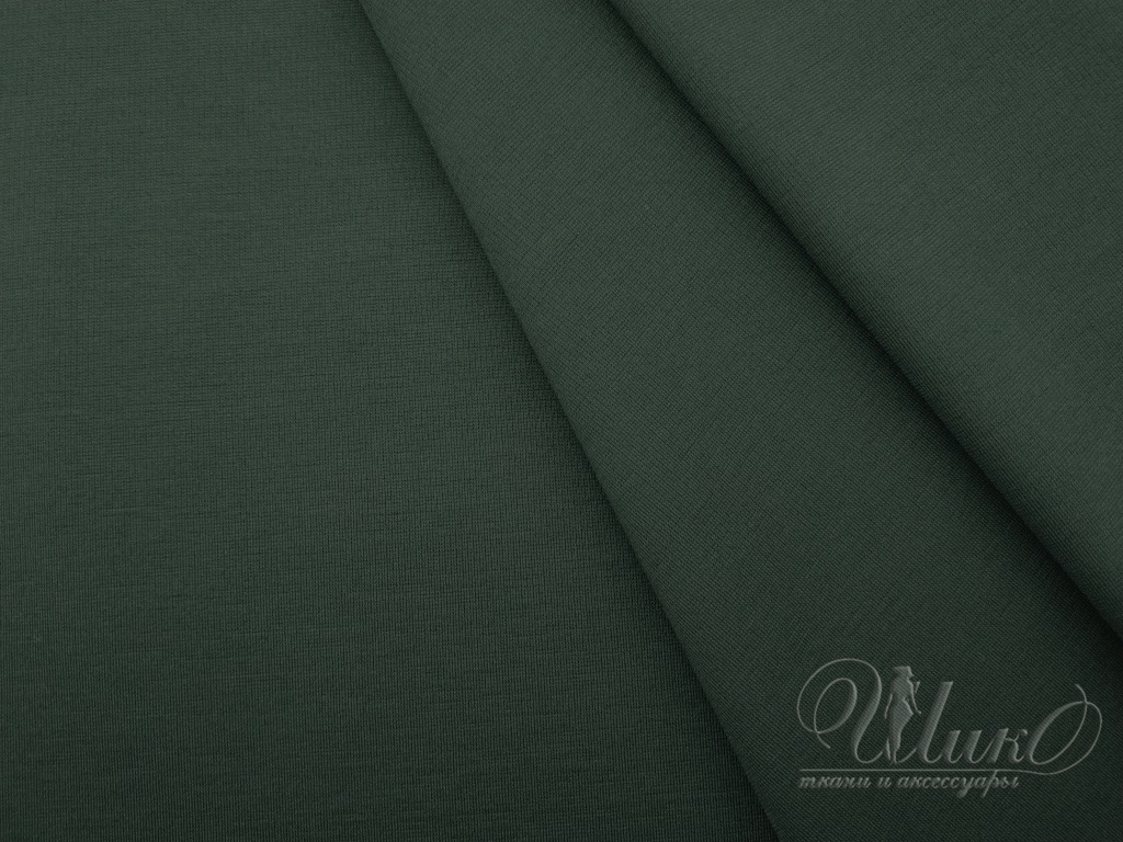 Ткань Джерси  47750 1