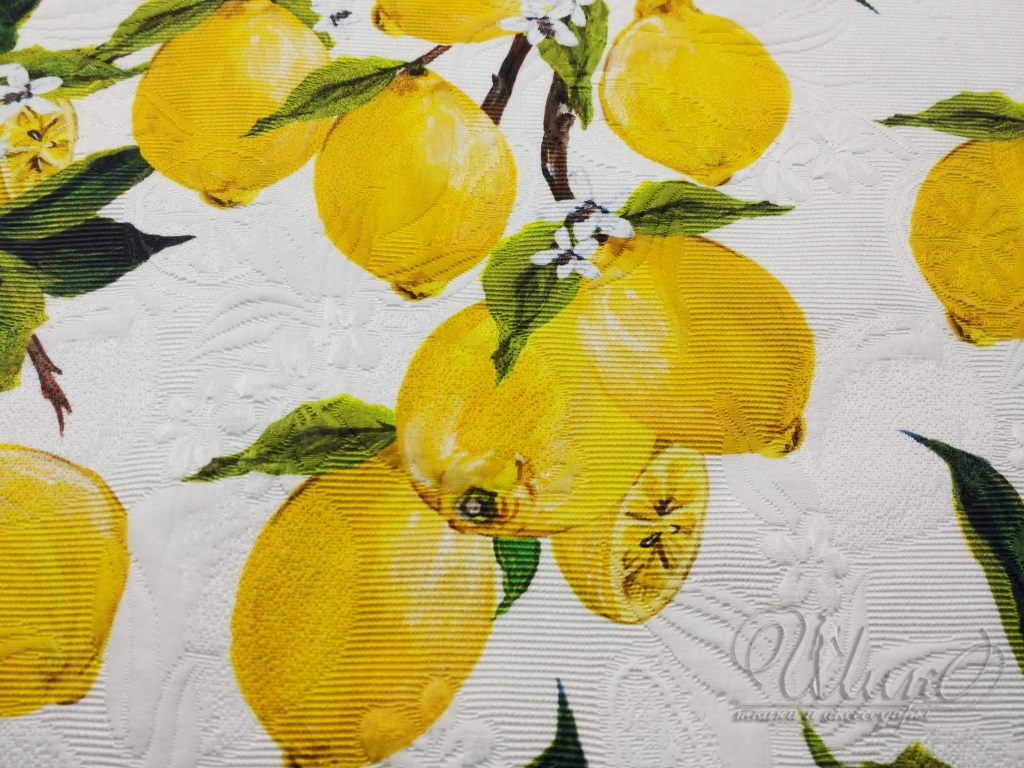 Ткань Жаккард  D&G 28655 2